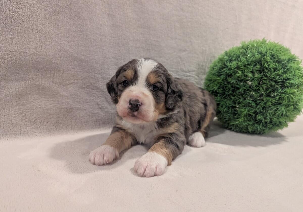 PXL_20251119_210327674